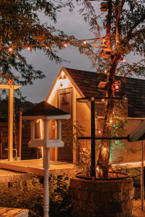 Скворечник — фото