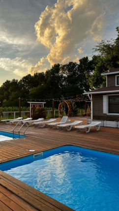 Скворечник — фото