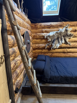 Дом Варяга — фото 6