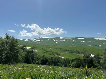 Дом — фото 13