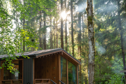 Сеть коттеджей "Пихта" — фото