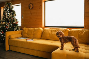 Дом с сауной — фото 4