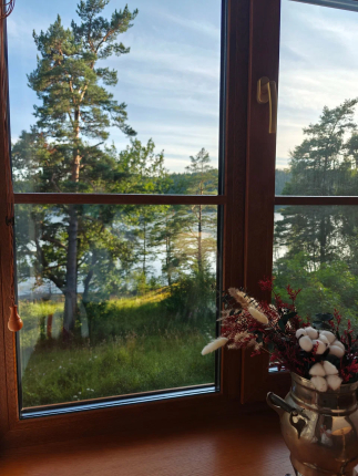 Чайка 1918 — фото