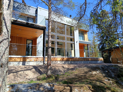 Чайка 1918 — фото