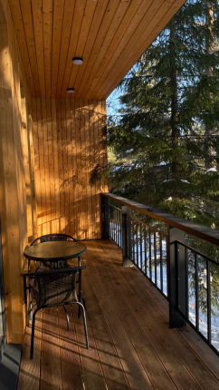 Чайка 1918 — фото