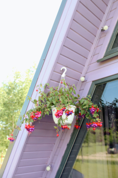 Прованс — фото 7