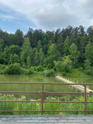 Водоем — фото 2