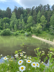 Водоем — фото 1