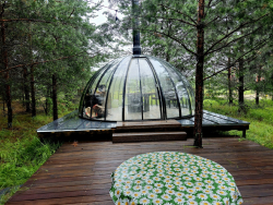 Барбекю зона — фото 1