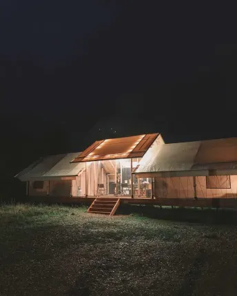 РекаЛеса — фото