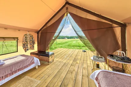 РекаЛеса — фото