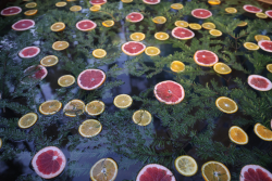 Горячий чан — фото 1