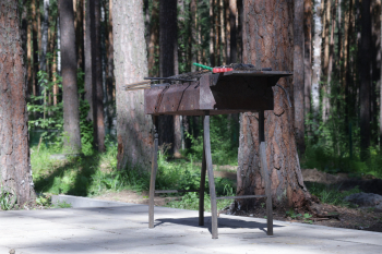 Барнхаус №2 c панорамой — фото 20