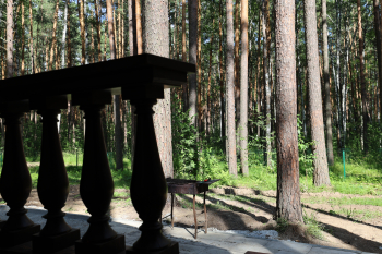 Барнхаус №1 c панорамой — фото 7