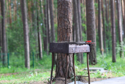 Мангальная зона — фото 2