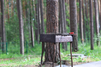 Барнхаус №1 c панорамой — фото 23