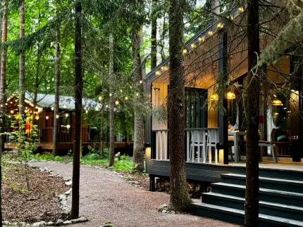 Репинские дачи — фото