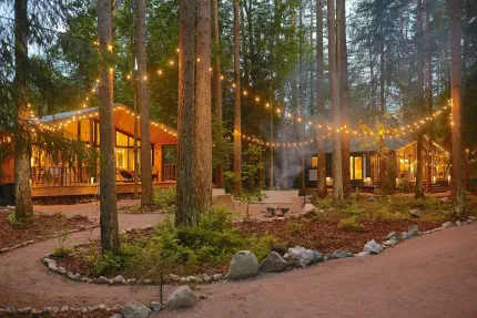 Репинские дачи — фото