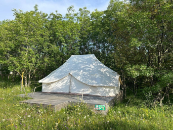 Комфорт-ЛЮКС — фото 7