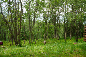 Дом-Баня с чаном  — фото 14