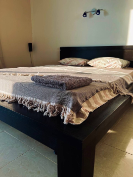 Зелёный дом — фото 6