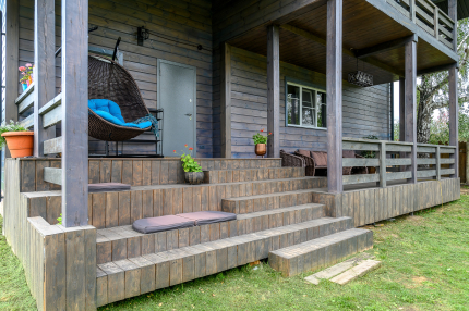 Смородина — фото