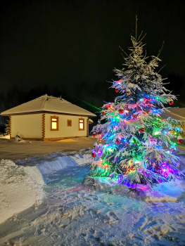 Польский дом  с двумя спальнями — фото 18