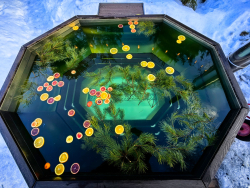 Горячий чан — фото 1