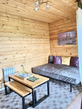 Люкс с двориком — фото 3