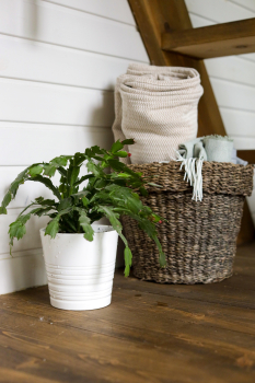 Семейный домик — фото 9