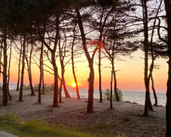 Водоем — фото 2