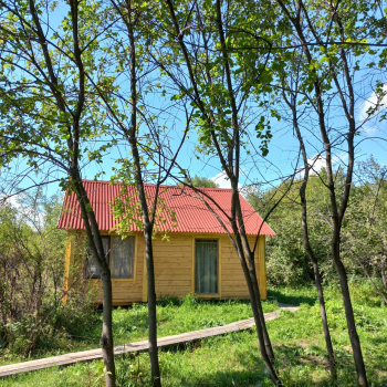 Дом в саду — фото 1