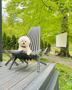 Барнхаус 4 — фото 10