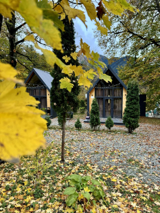 Wood Villas — фото