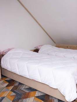 Коттедж на 6-х гостей  — фото 2