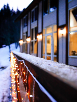 Коттедж на 14 человек  — фото 4