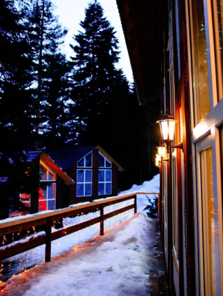 Авалон — фото