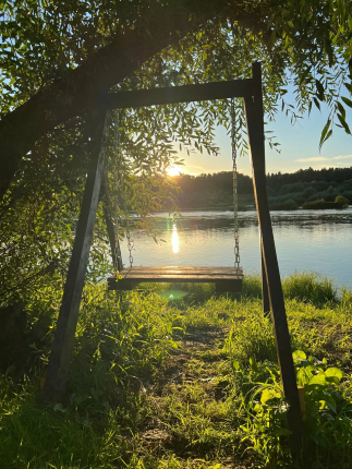 Морошка — фото