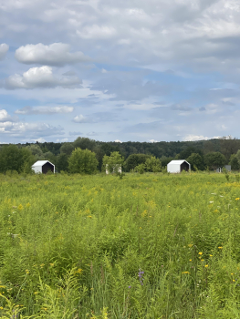 Барнхаус — фото 9