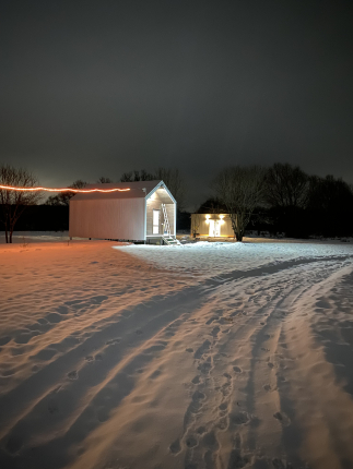 Морошка — фото