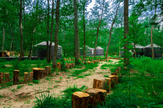 Лесная база "Папоротник"