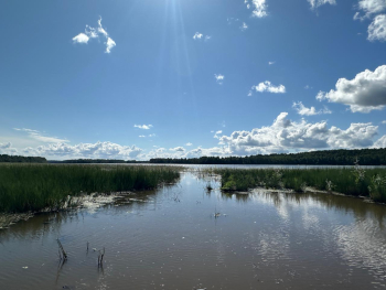 Гостевой дом 3 — фото 12