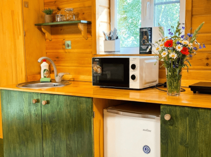 Дома в аренду "Лесовик 66" — фото