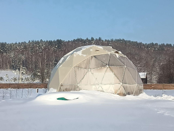 Сфера Семейный — фото 15