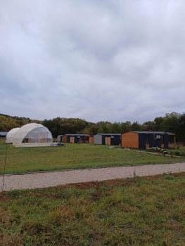 Сфера Семейный — фото 1