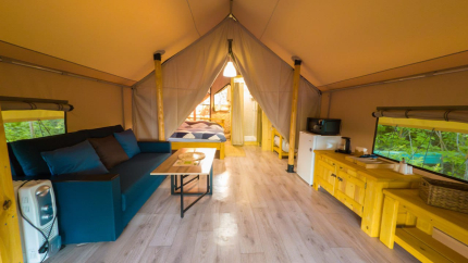 ЗЕЛЕНЬ — фото