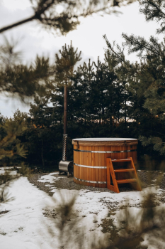 Солнечный барн — фото 10