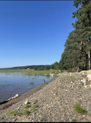 Kossalmi-дома у озера в Карелии — фото