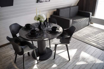 ЧЕРНОЕ БЕЛОЕ – Дом с теплой купелью — фото 6