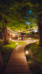 Костровая зона — фото 3